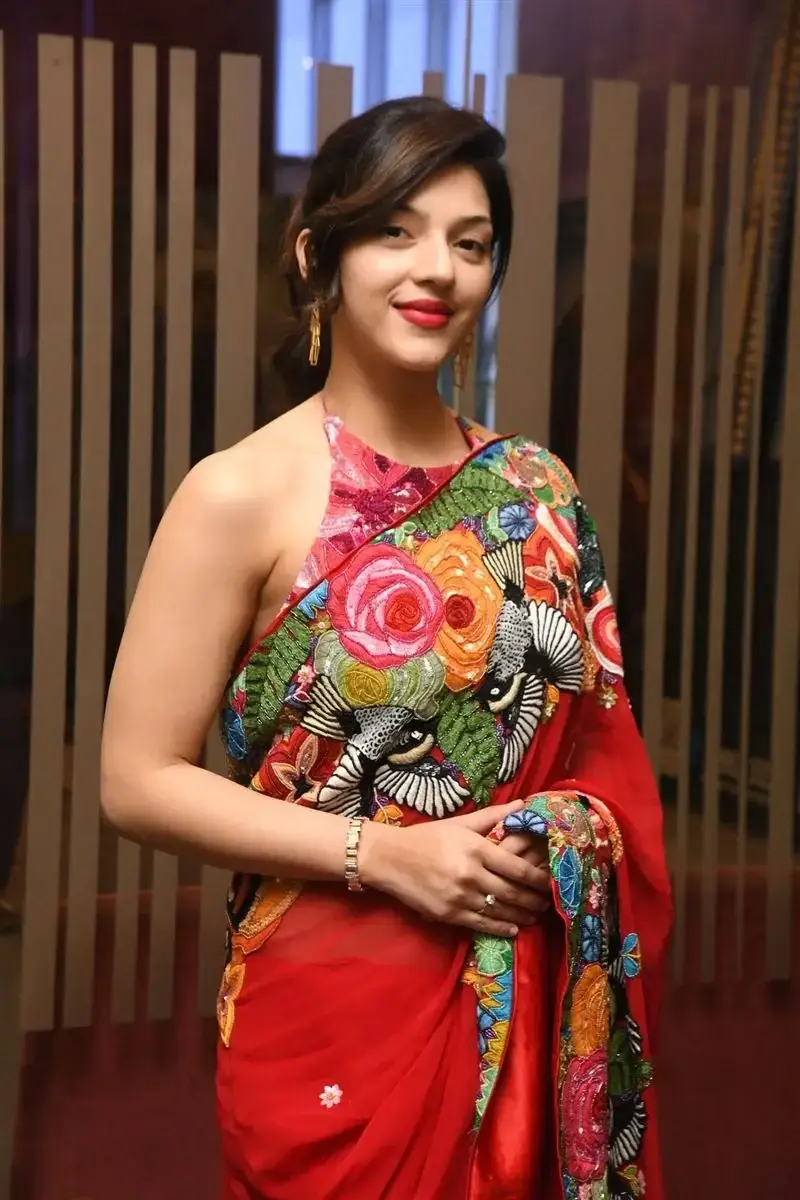 Mehreen Pirzada Red Saree at Spark LIFE Movie Trailer Launch